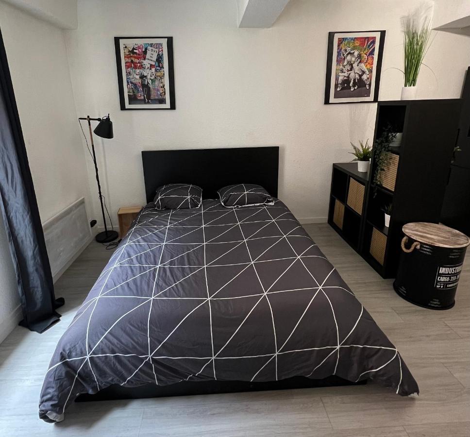 Studio Cosy Au Coeur Du Centre Ville Mâcon Екстериор снимка